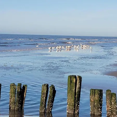 In Near The Beach, Cleaning Included Appartement *