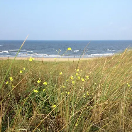 Apartman In Near The Beach, Cleaning Included Bergen aan Zee
