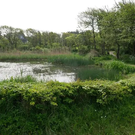 In Near The Beach, Cleaning Included Apartman Bergen aan Zee